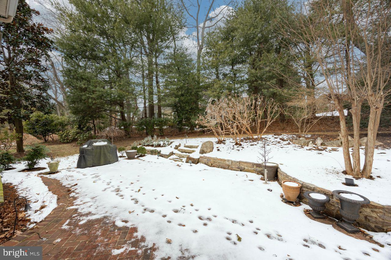 BRAMPTON CHASE - Residential