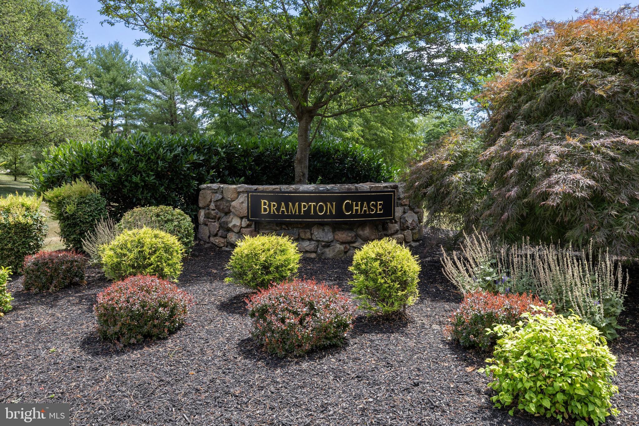 BRAMPTON CHASE - Residential