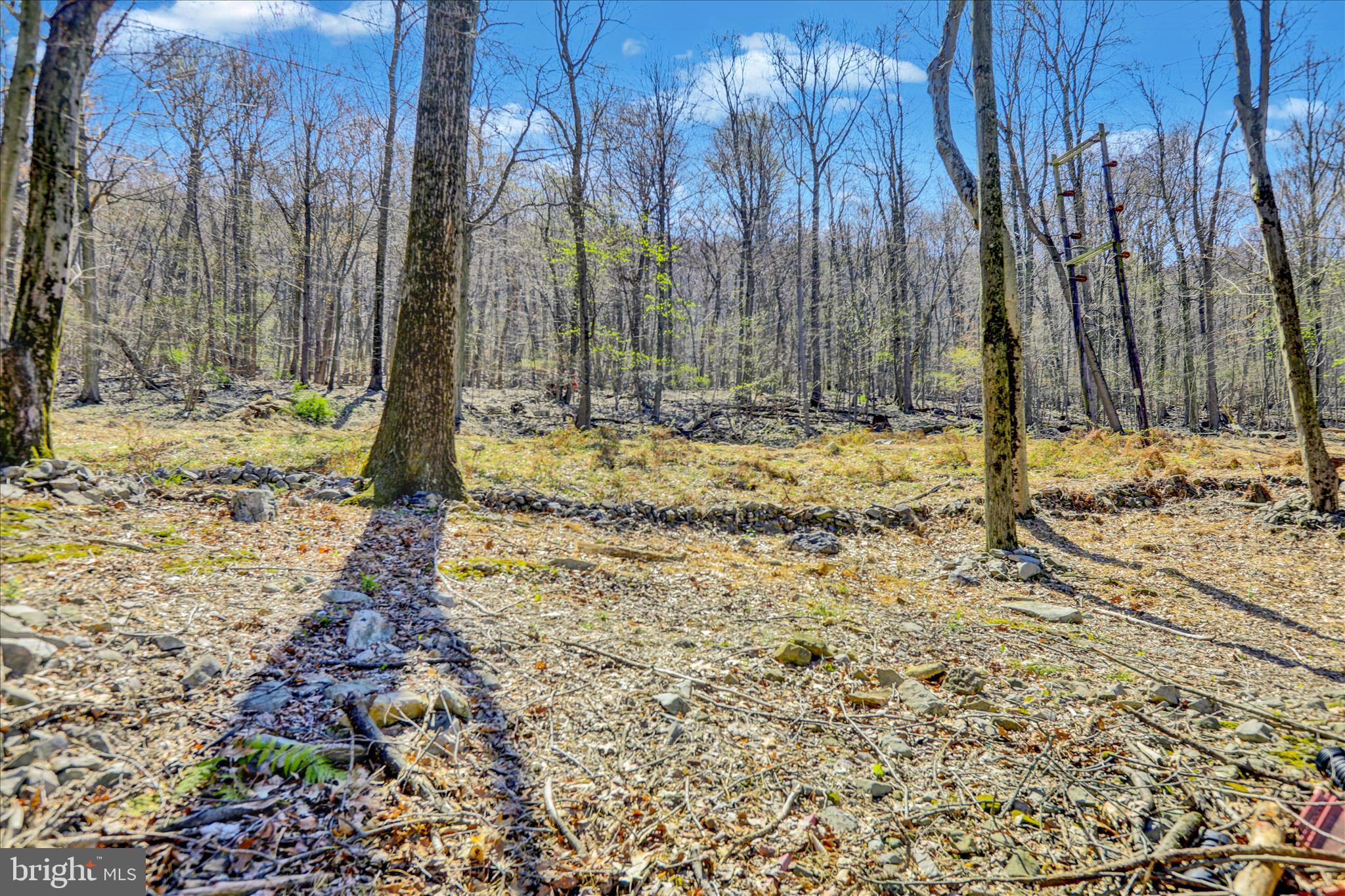 EXETER TOWNSHIP - Residential