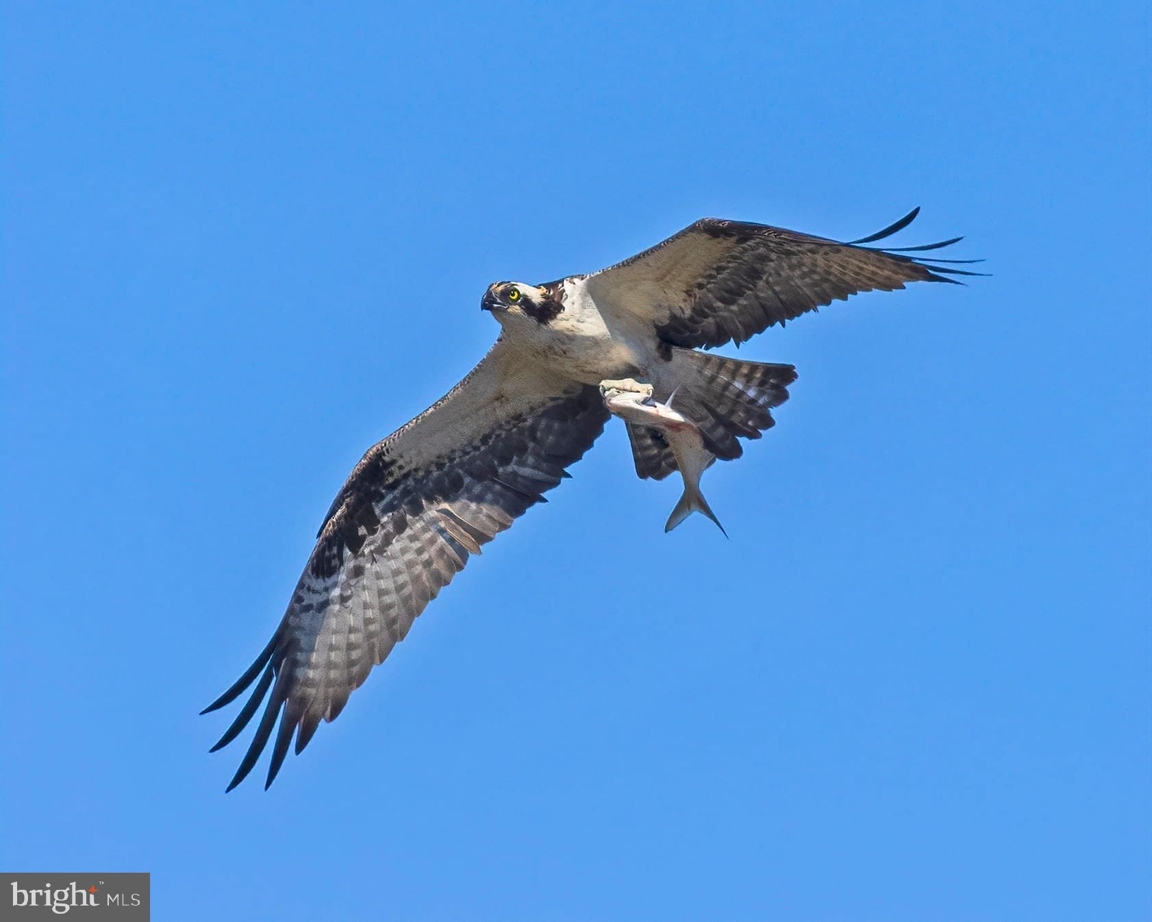 NORTH CHESAPEAKE BEACH - Residential Lease