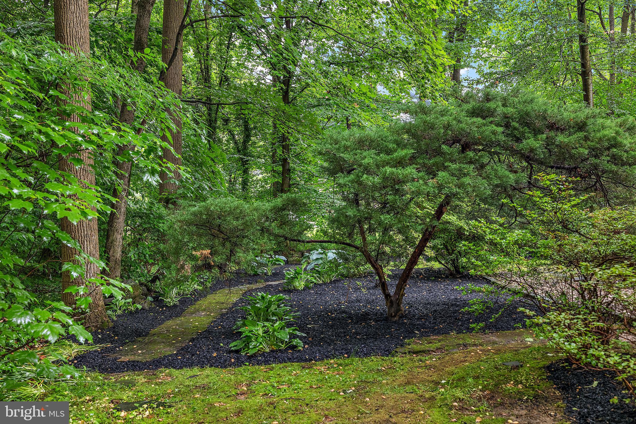 SURREY PARK - Residential