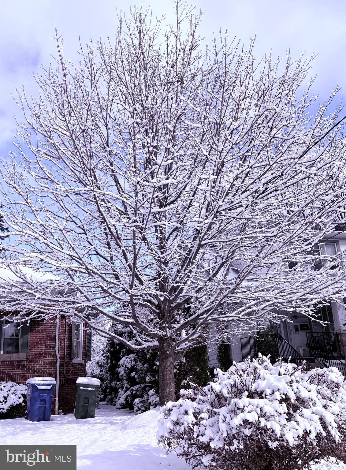 MOUNT WASHINGTON - Residential