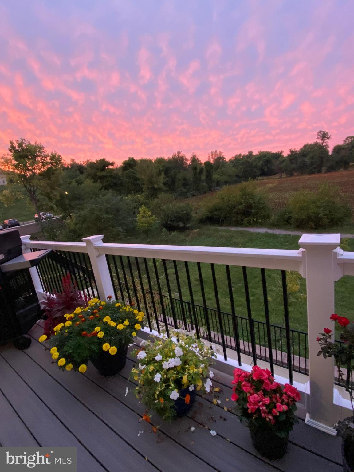 SYCAMORE RIDGE - Residential