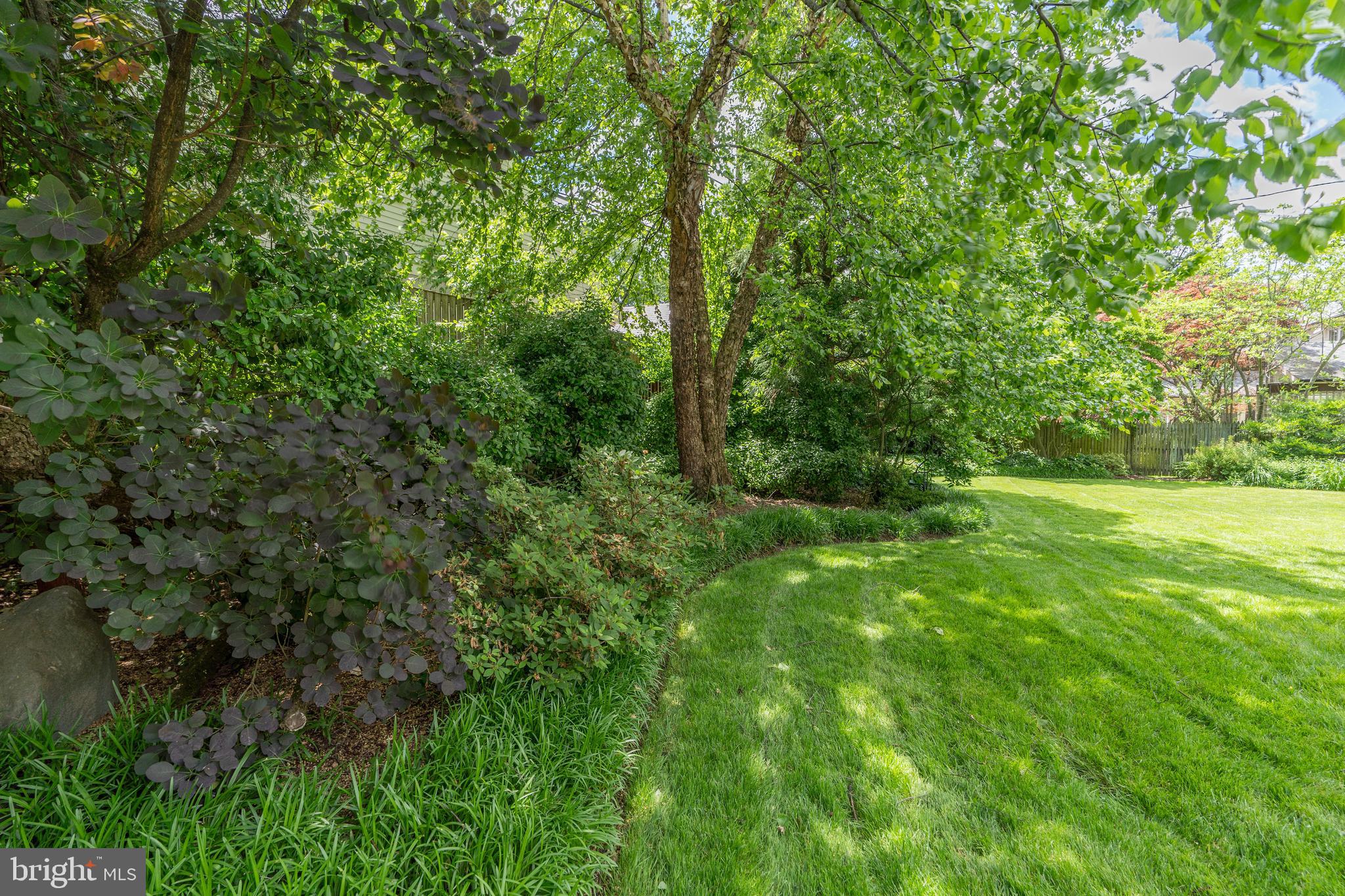 CHEVY CHASE VILLAGE - Residential