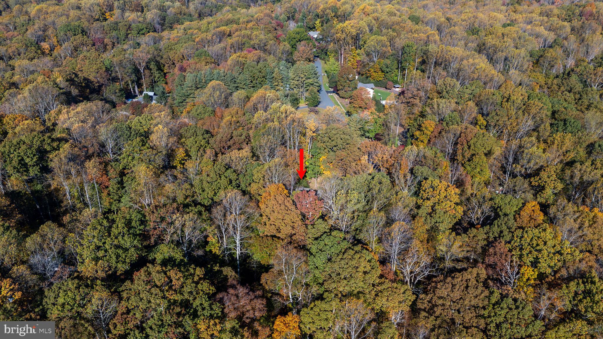 2184 BRANCHWOOD COURT