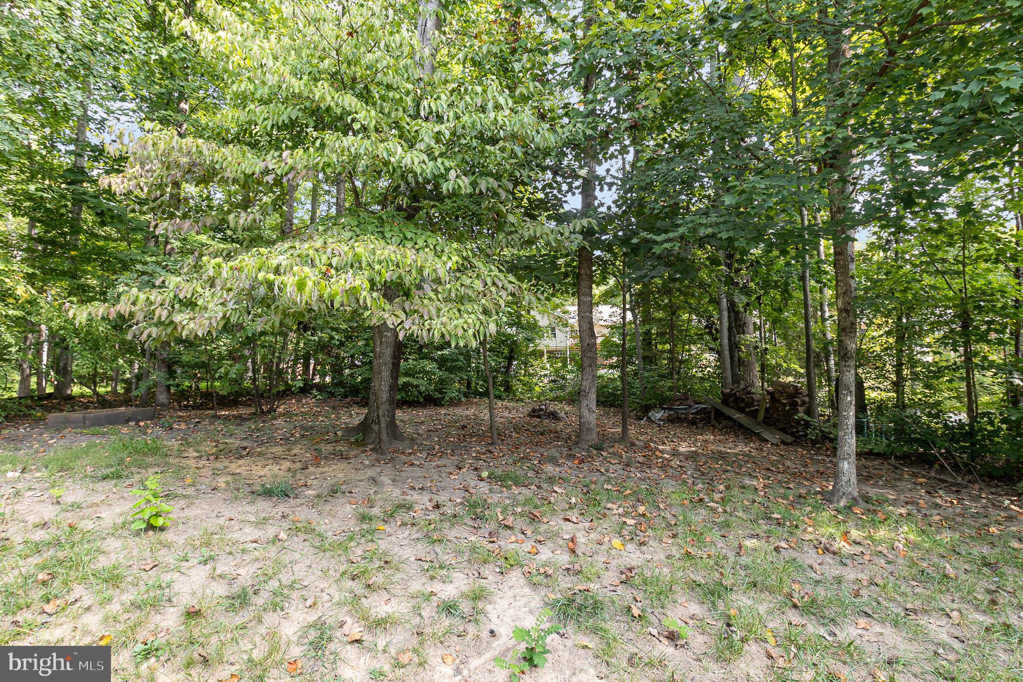 LAKE OF THE WOODS - Residential Lease