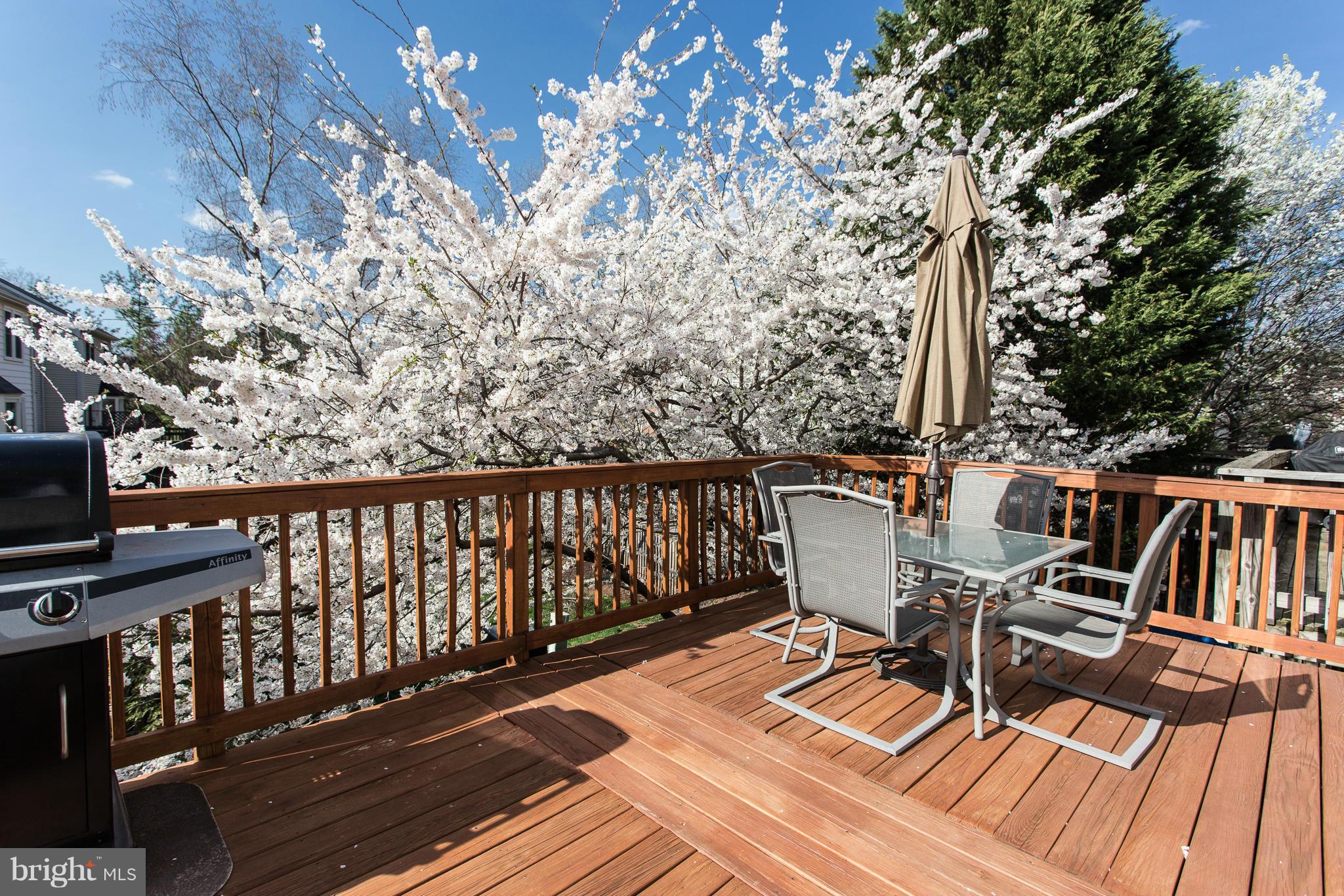 LIFESTYLE AT SULLY STATION - Residential