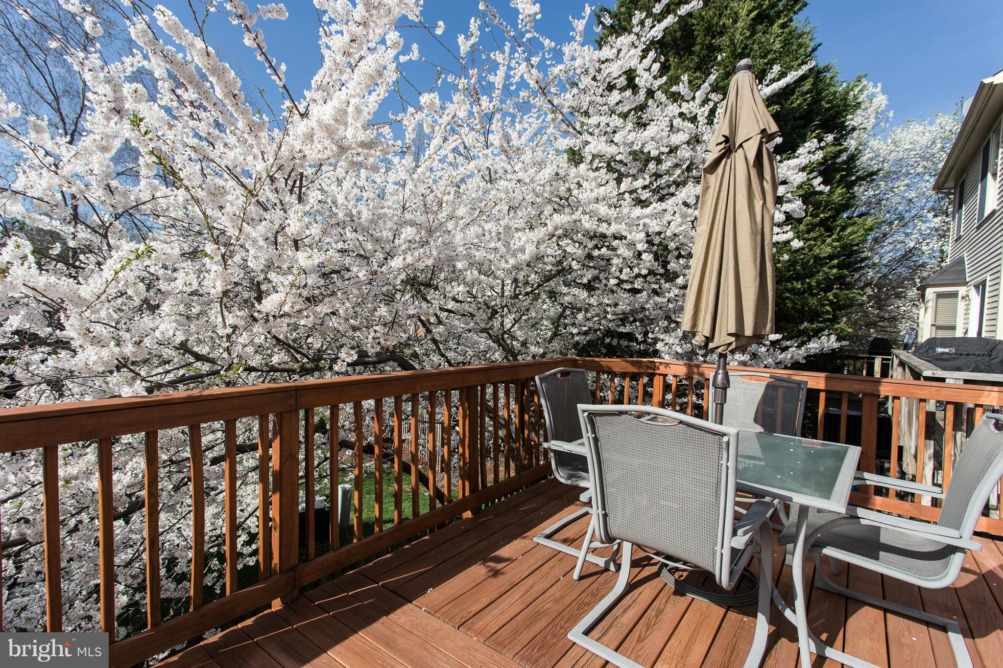 LIFESTYLE AT SULLY STATION - Residential