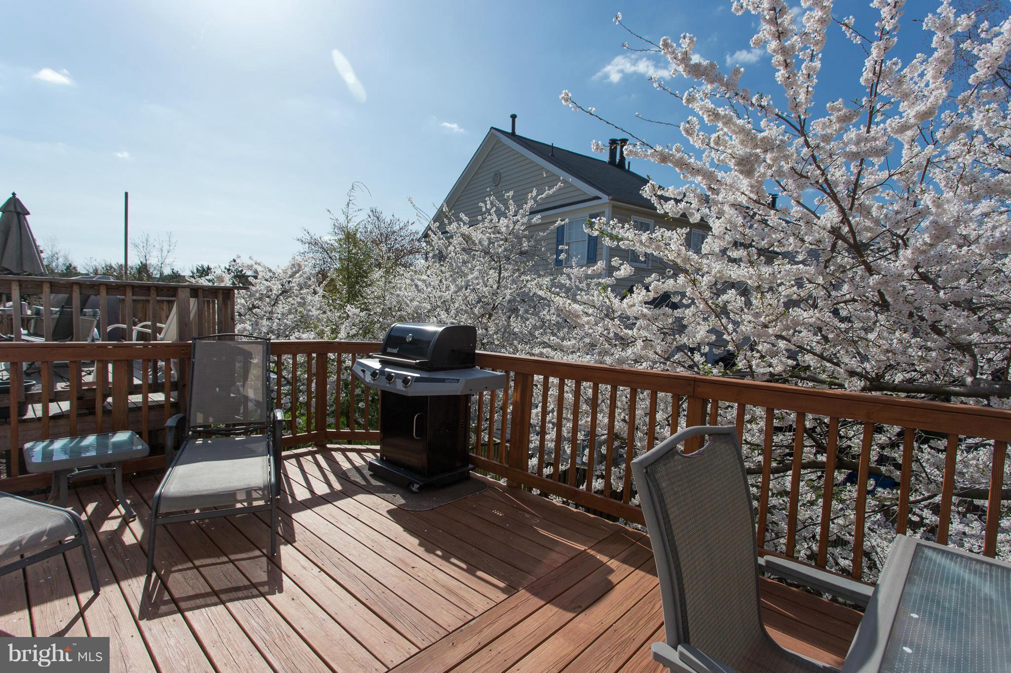 LIFESTYLE AT SULLY STATION - Residential