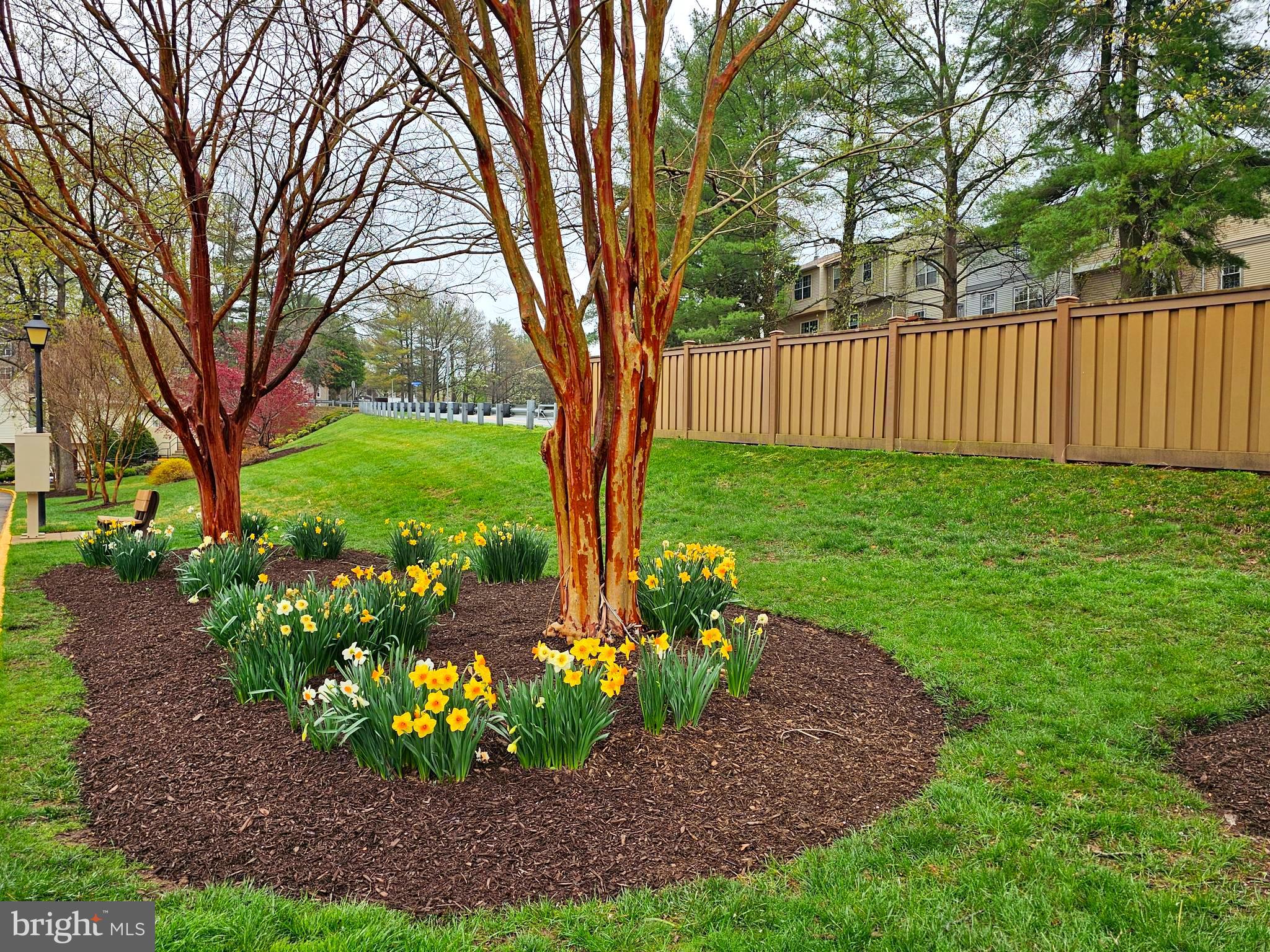 BURKE CENTRE STATION COMMONS - Residential