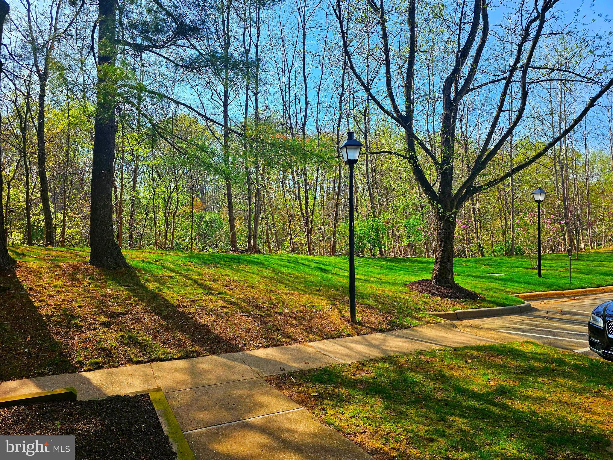 BURKE CENTRE STATION COMMONS - Residential
