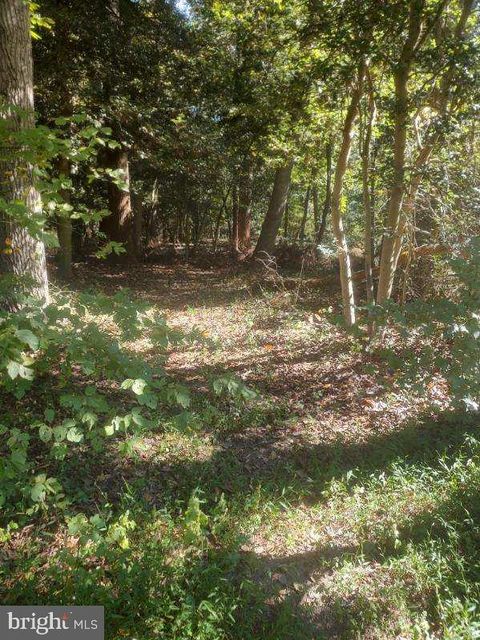 5940 BARBERRY TRAIL LORTON VA 22079