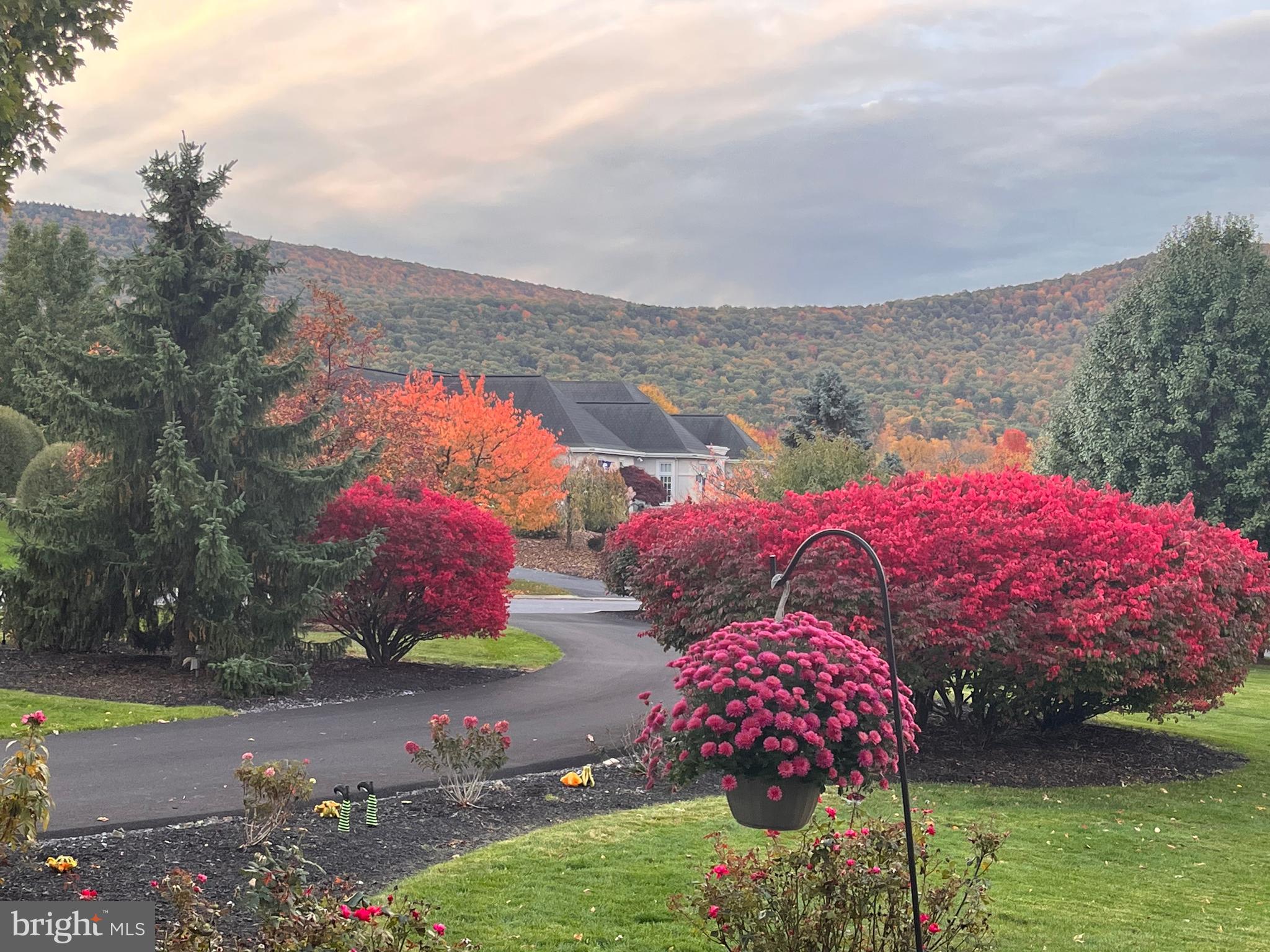 LAUREL HILLS - Residential