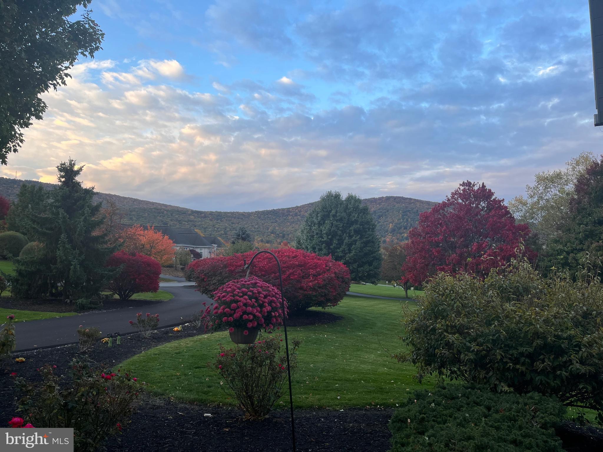 LAUREL HILLS - Residential