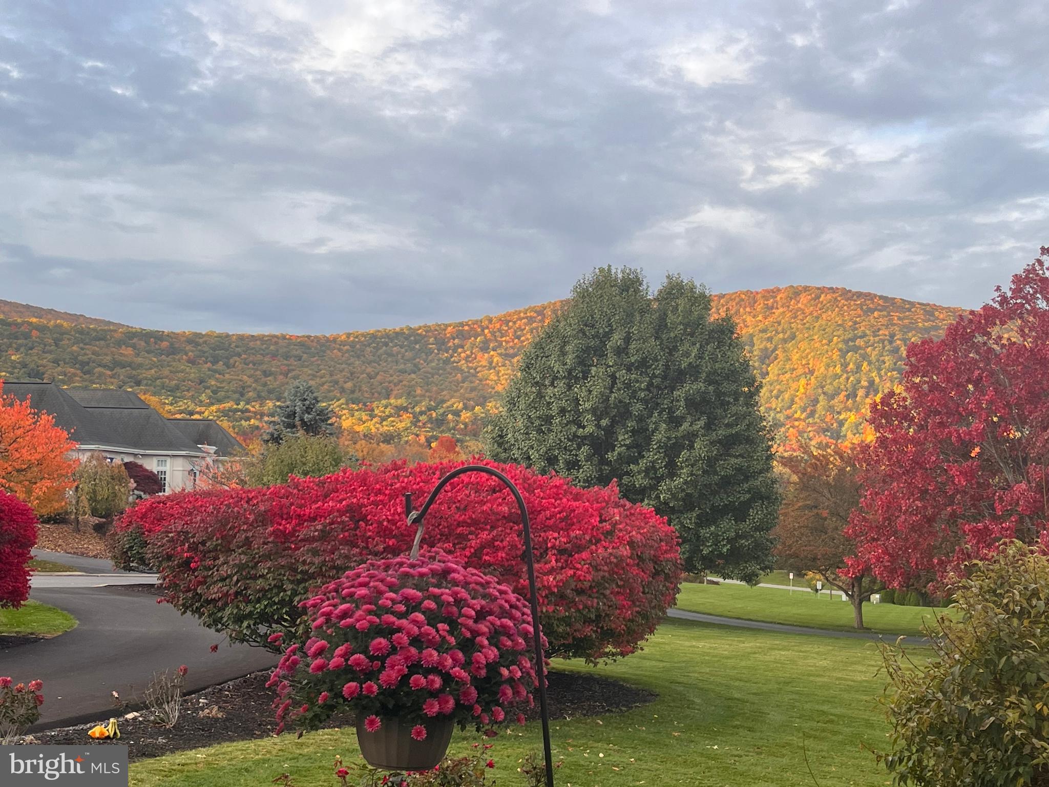 LAUREL HILLS - Residential