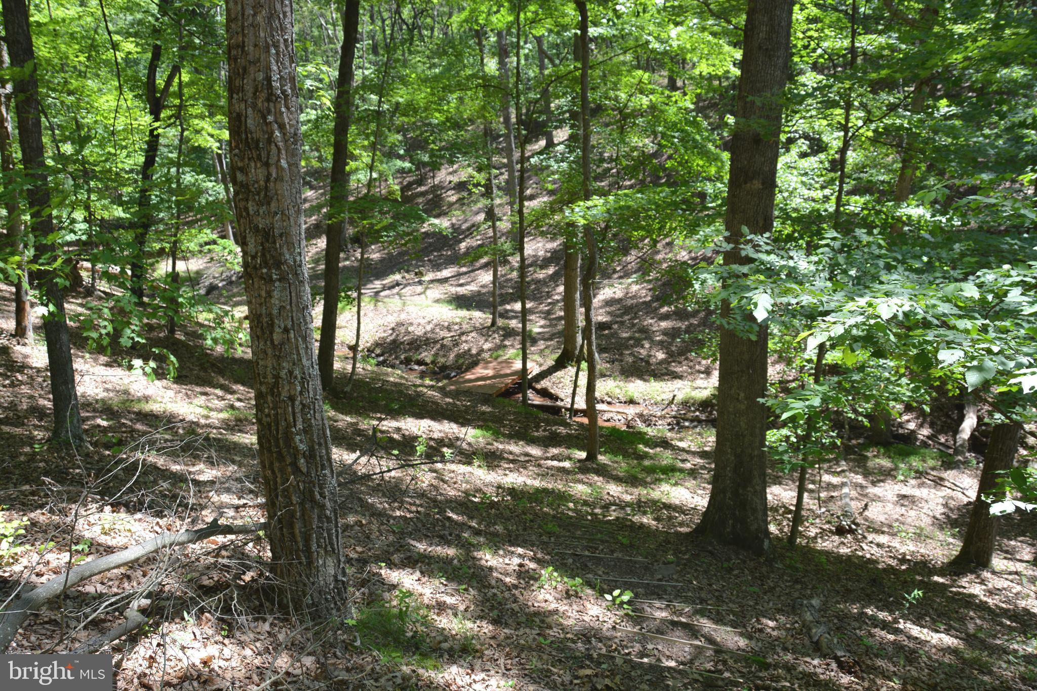 RITTER MOUNTAIN - Land