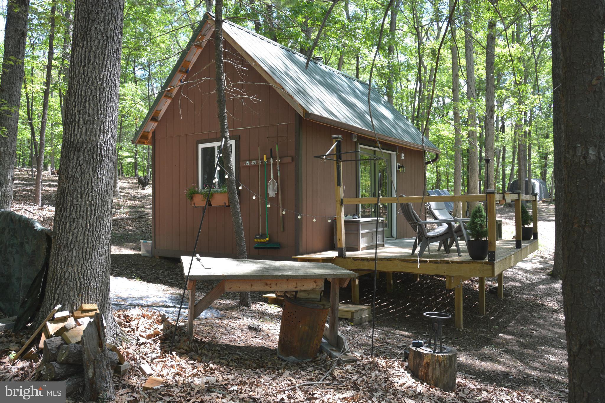 RITTER MOUNTAIN - Land