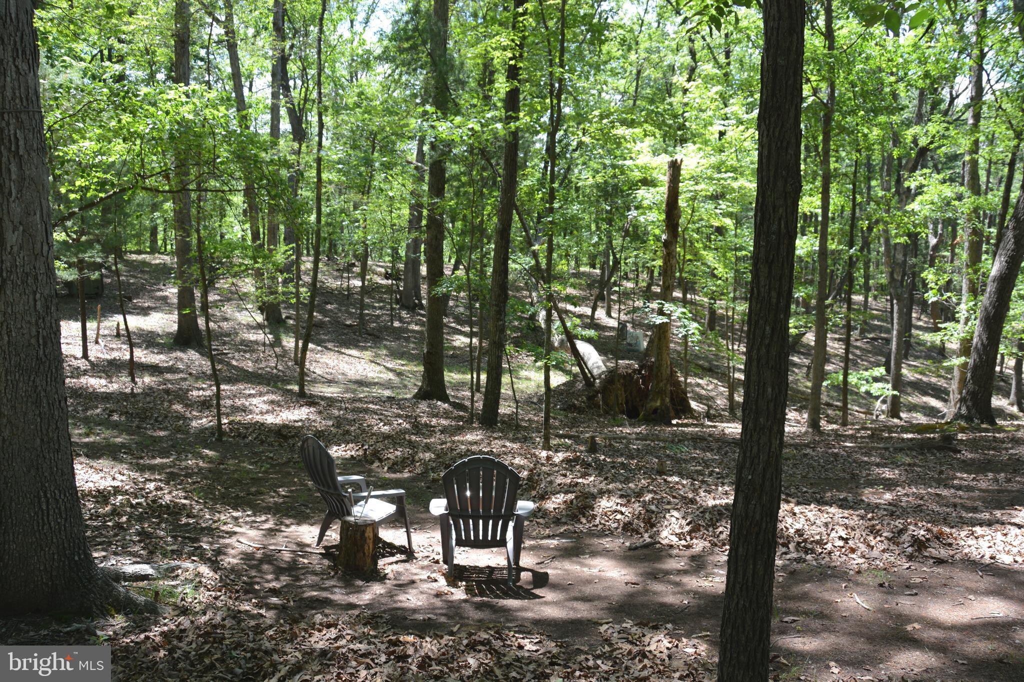 RITTER MOUNTAIN - Land