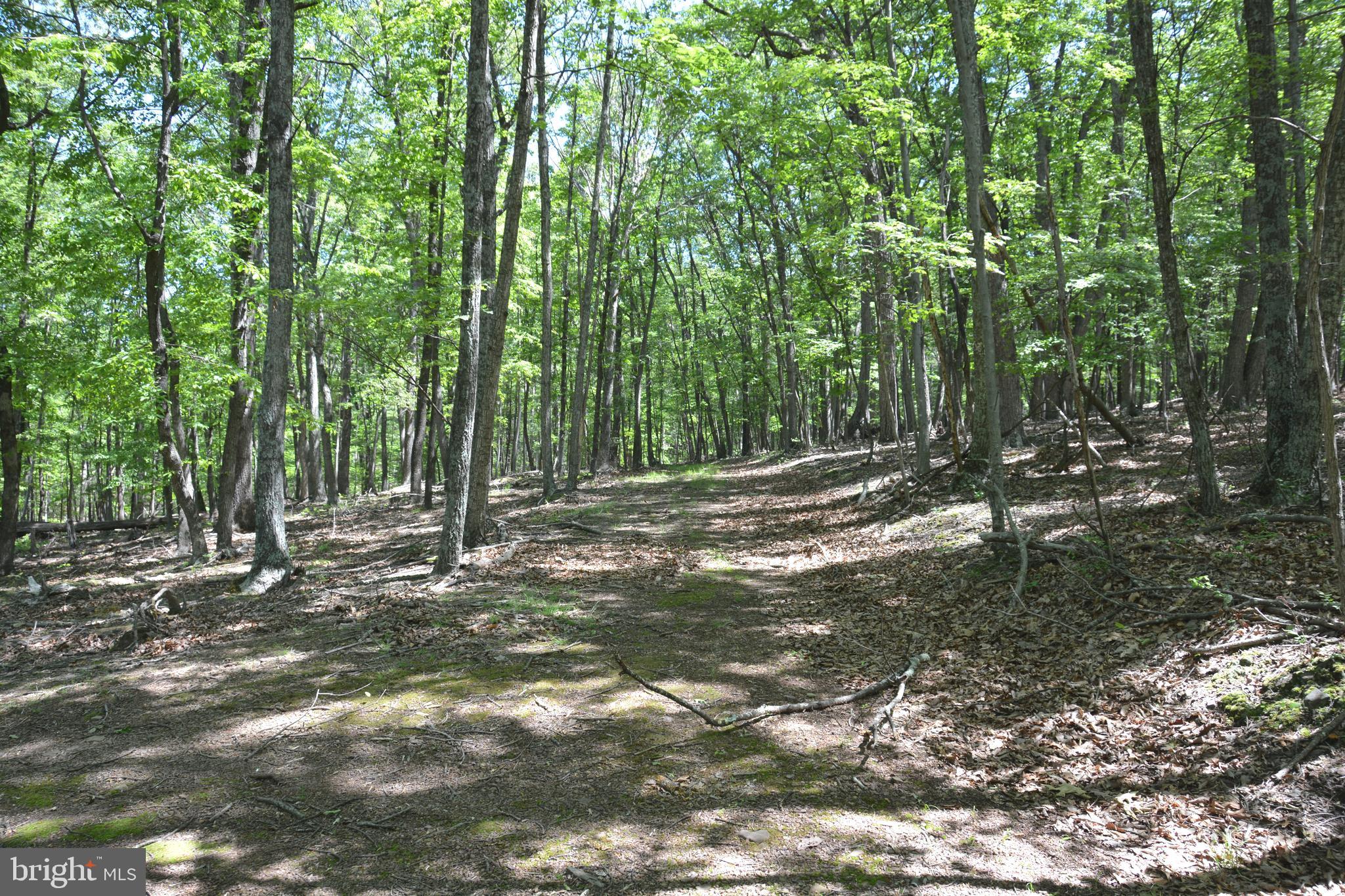 RITTER MOUNTAIN - Land