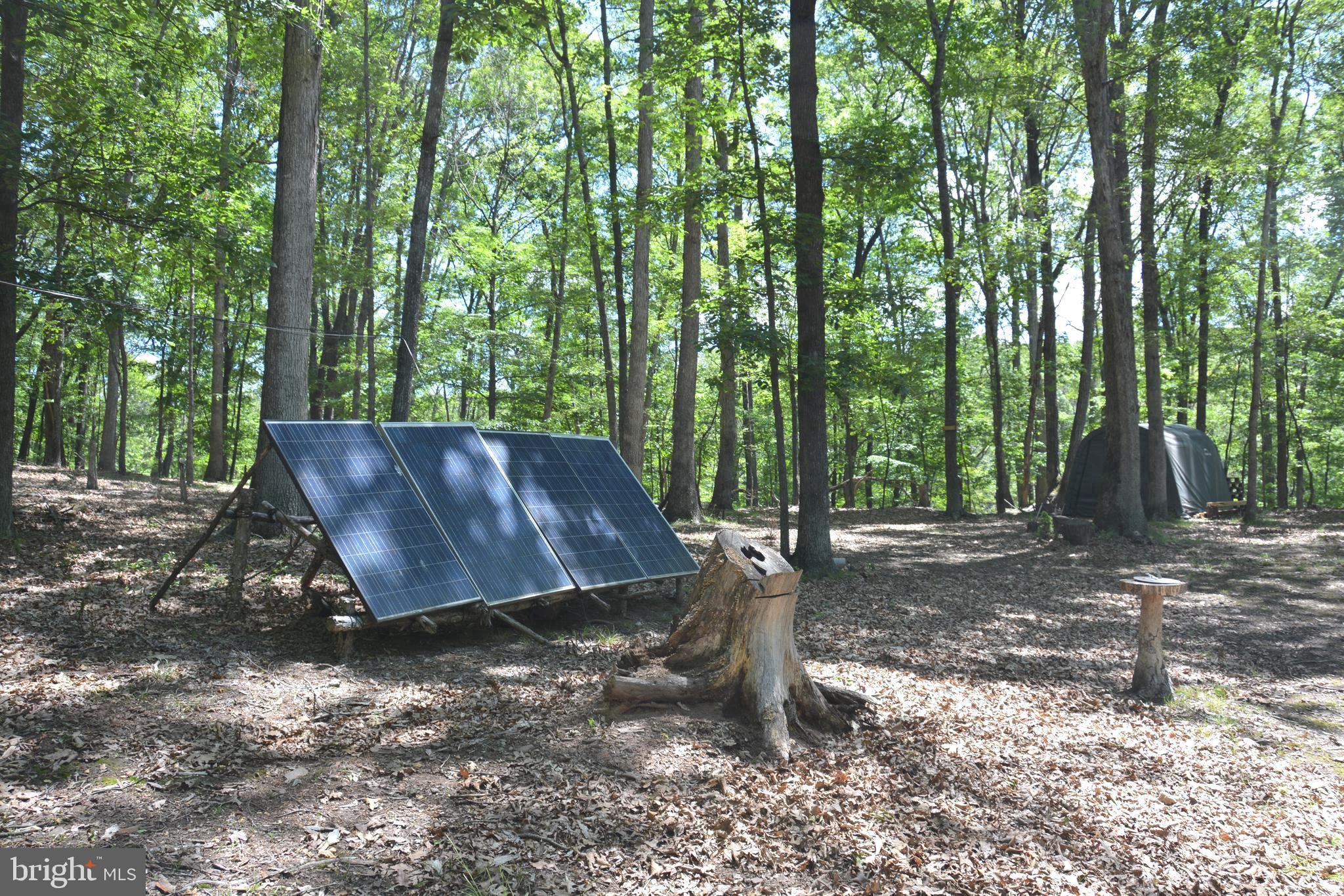 RITTER MOUNTAIN - Land