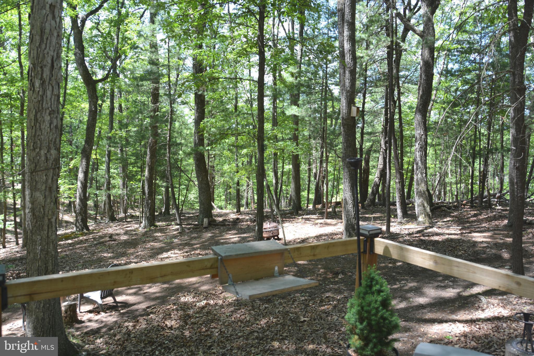 RITTER MOUNTAIN - Land