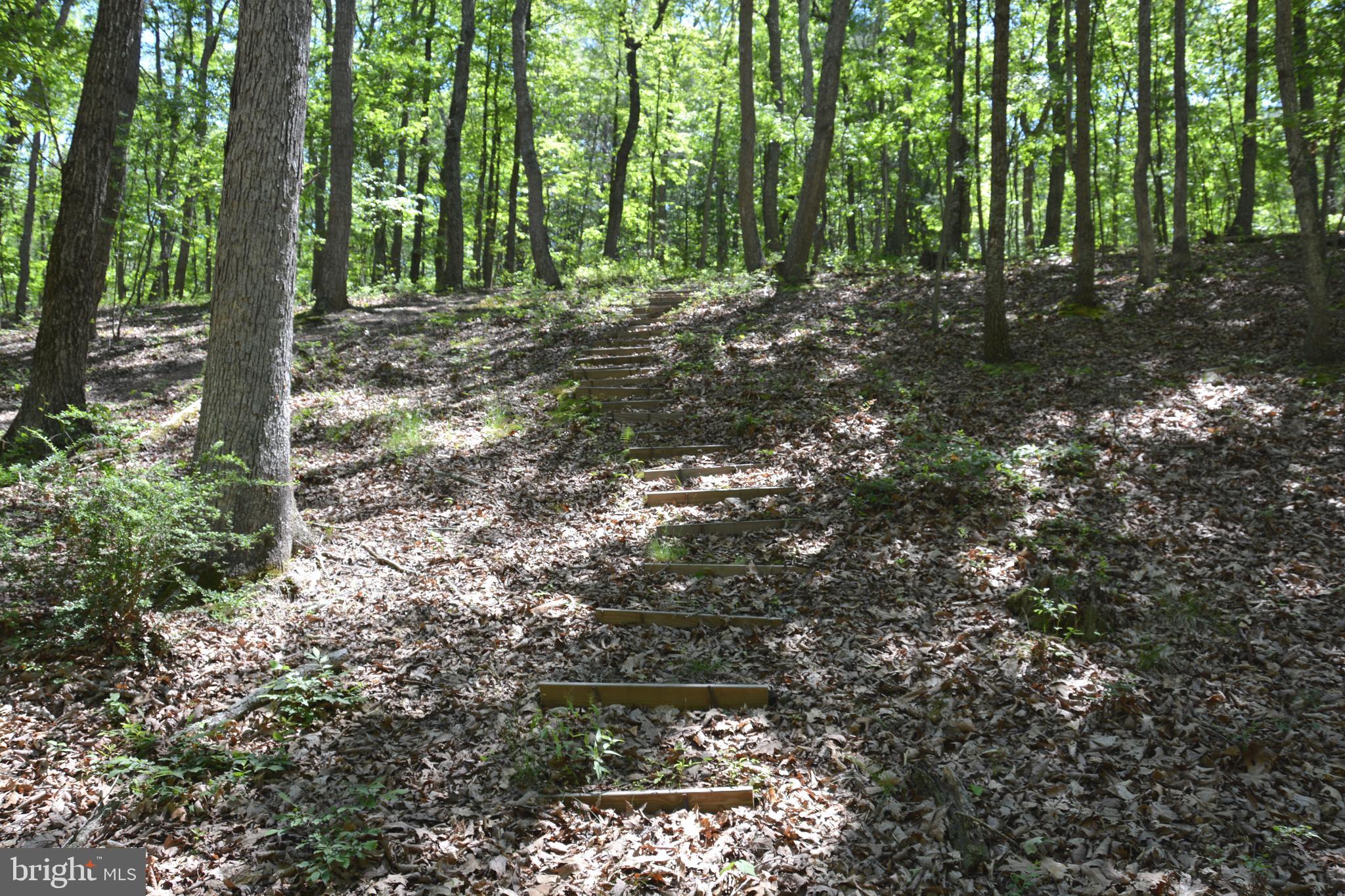 RITTER MOUNTAIN - Land