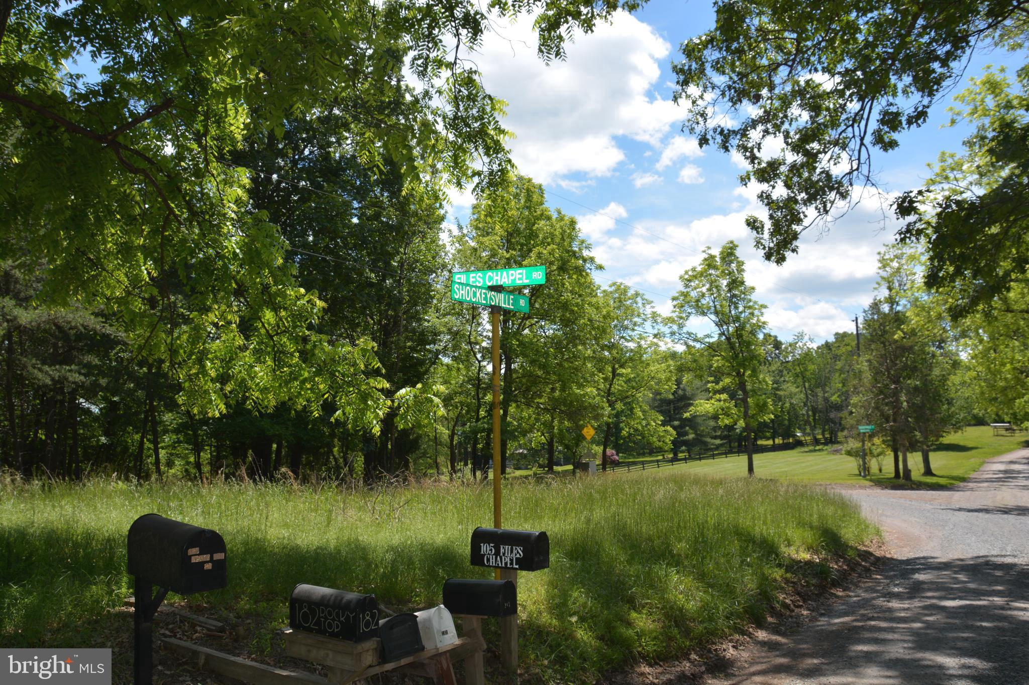 RITTER MOUNTAIN - Land