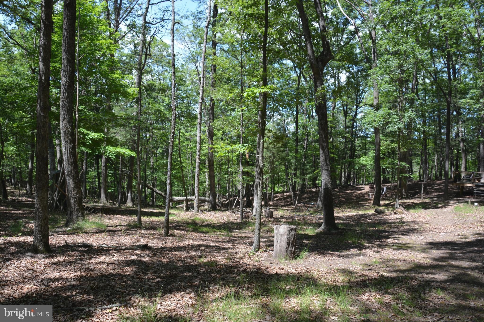 RITTER MOUNTAIN - Land