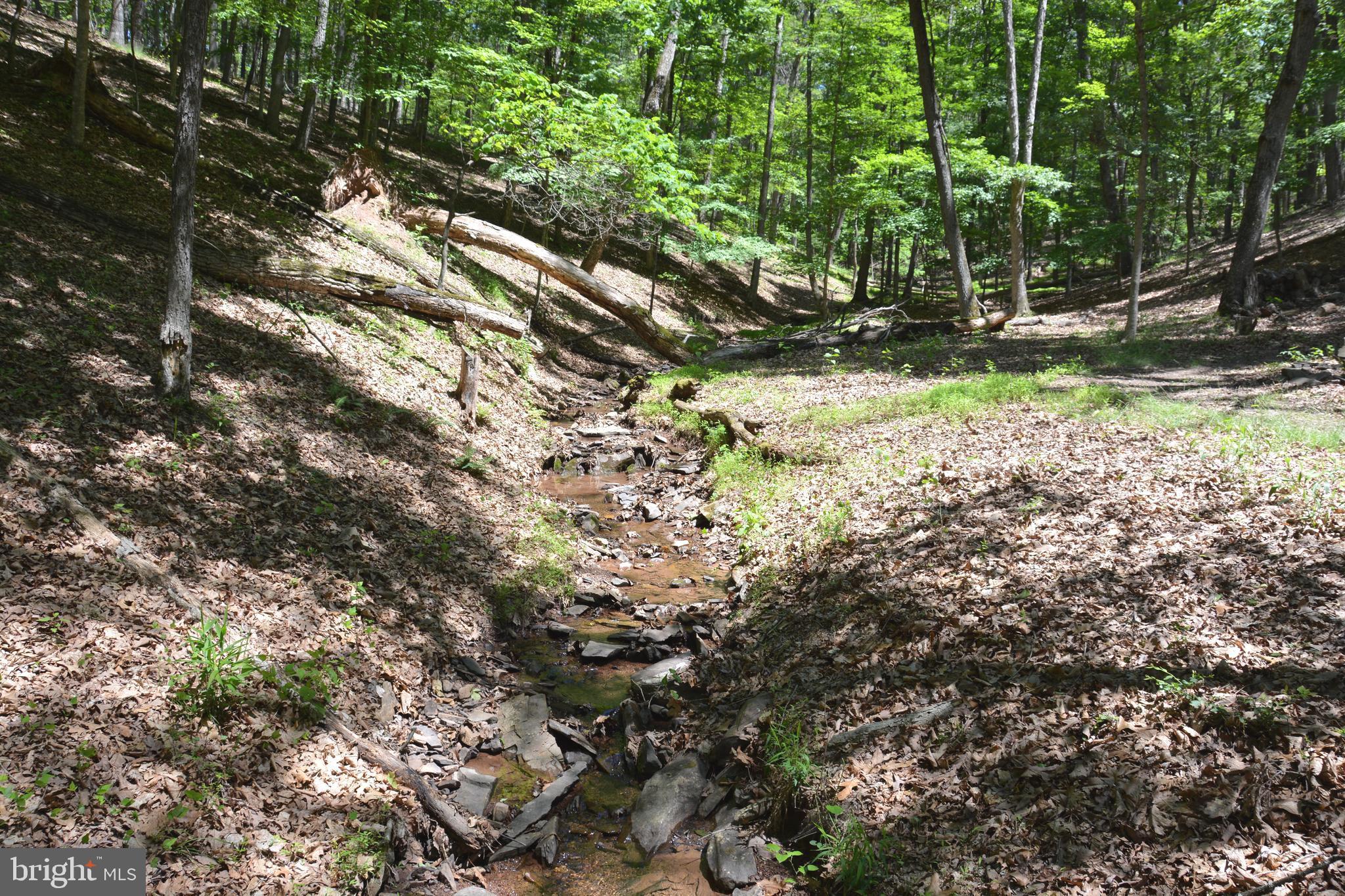 RITTER MOUNTAIN - Land