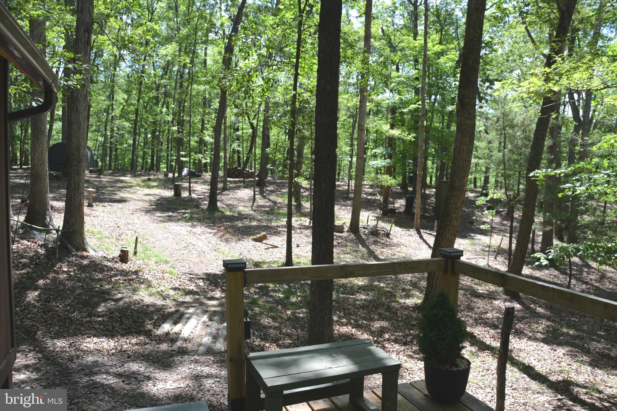 RITTER MOUNTAIN - Land