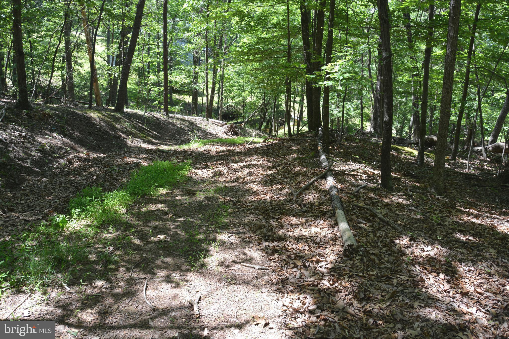 RITTER MOUNTAIN - Land