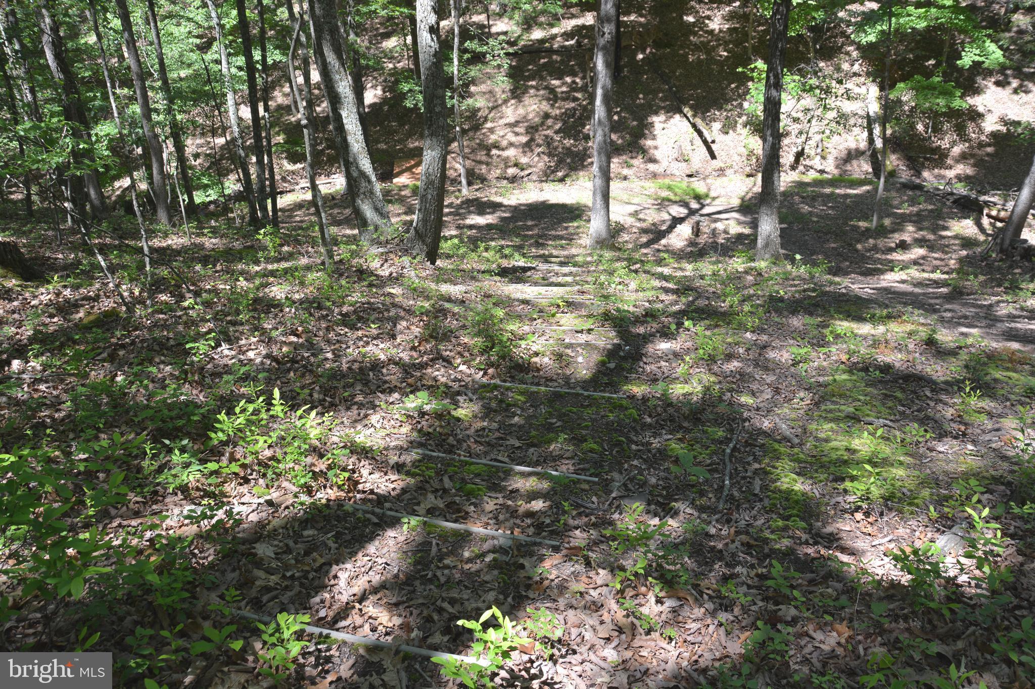 RITTER MOUNTAIN - Land