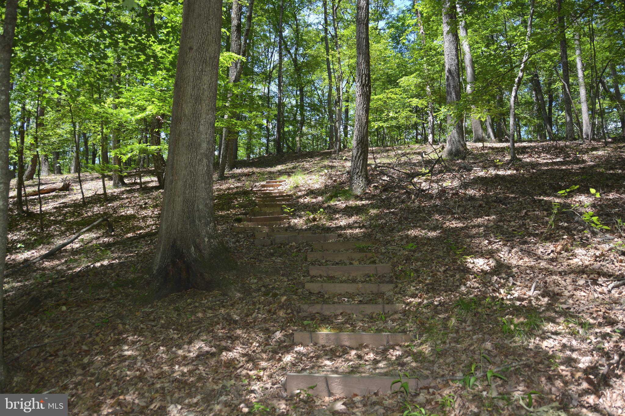 RITTER MOUNTAIN - Land