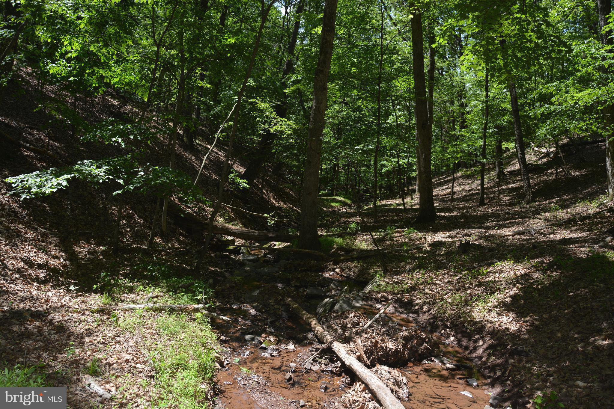 RITTER MOUNTAIN - Land