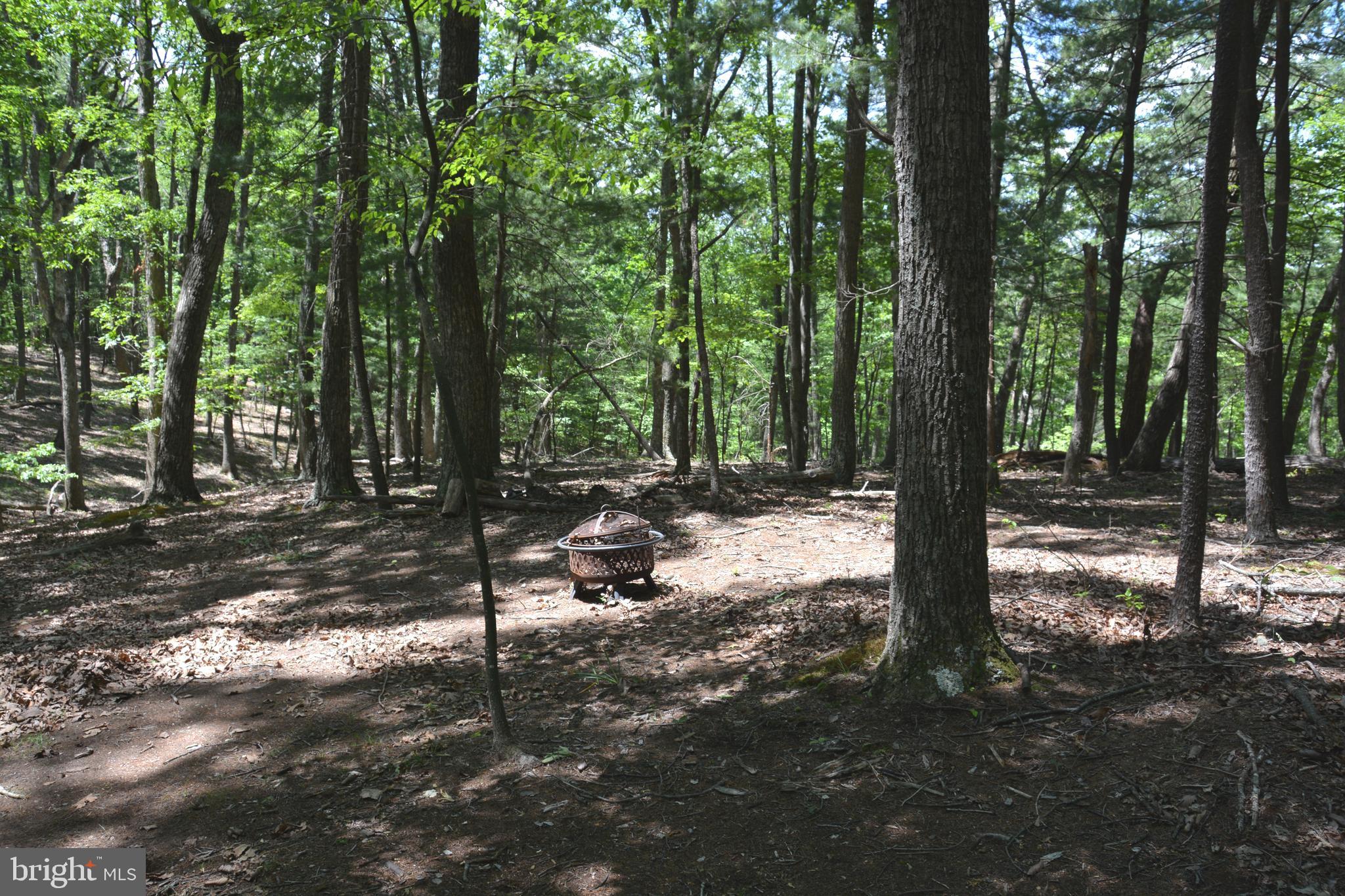 RITTER MOUNTAIN - Land