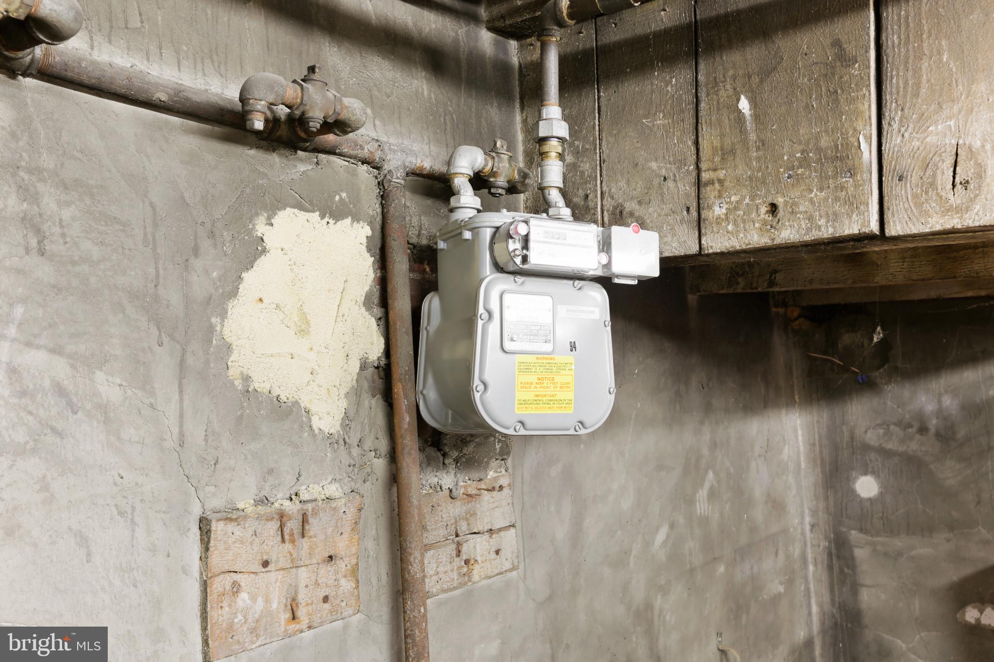 FEDERAL HILL HISTORIC DISTRICT - Residential Income