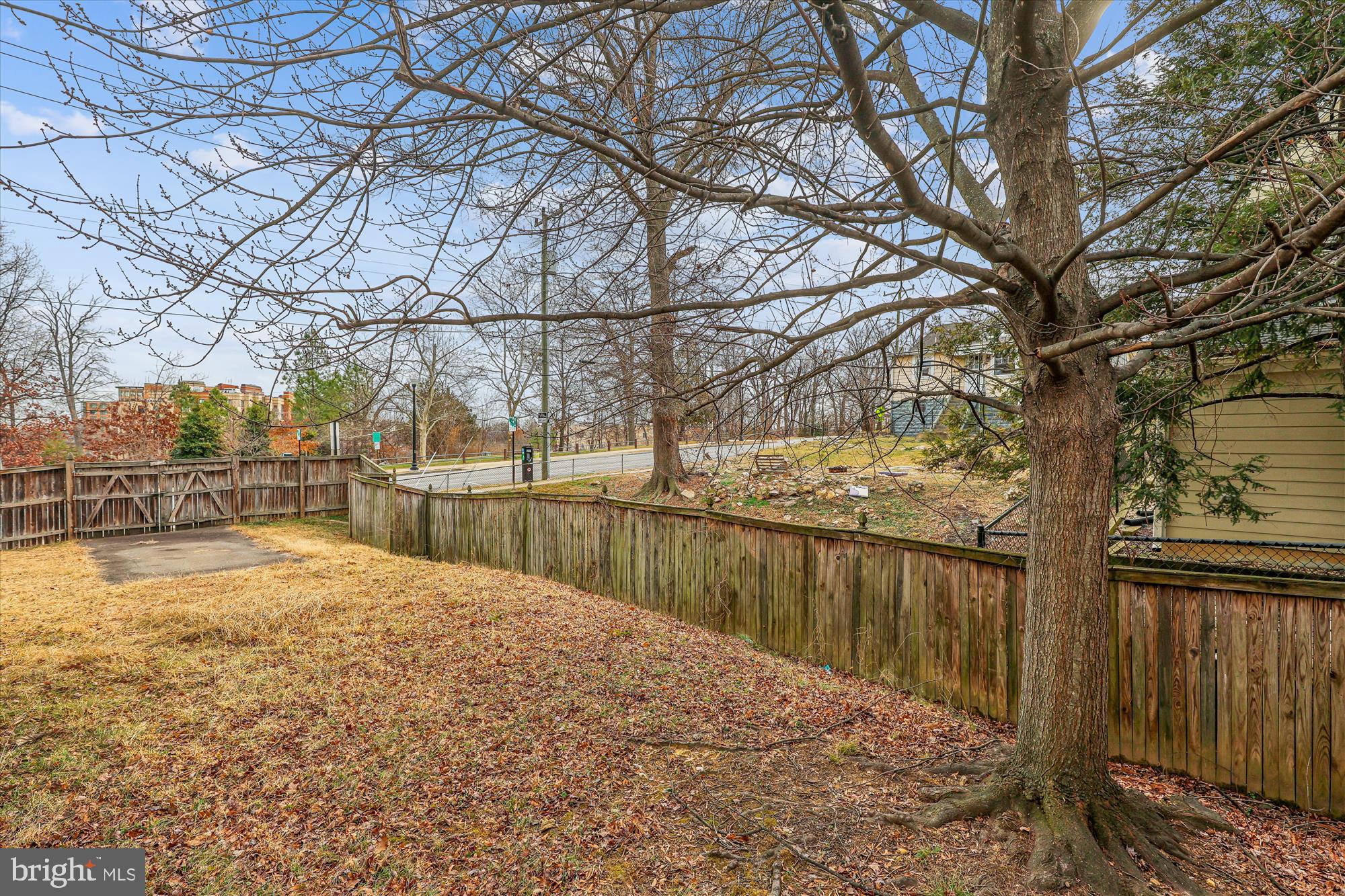 CLARENDON - Residential