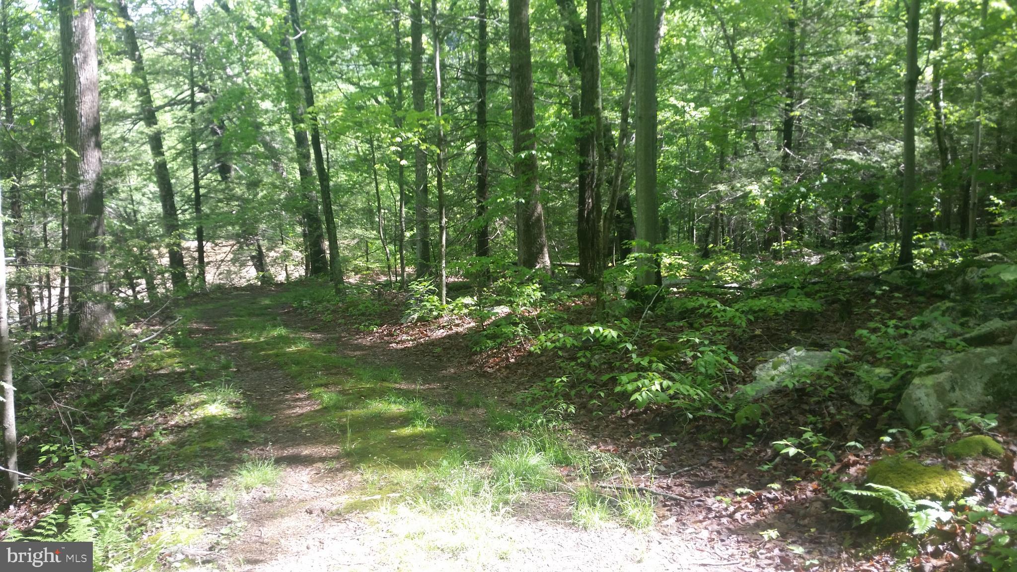 CACAPON RIVER ESTATES - Land