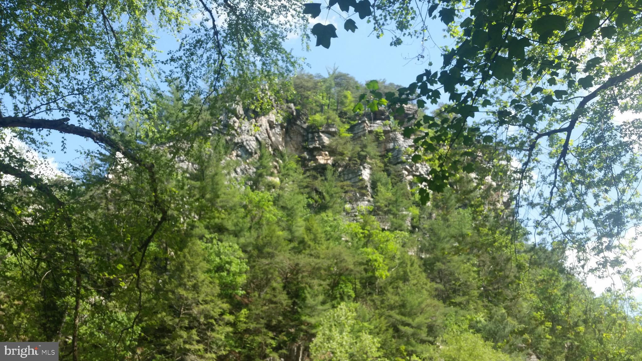 CACAPON RIVER ESTATES - Land