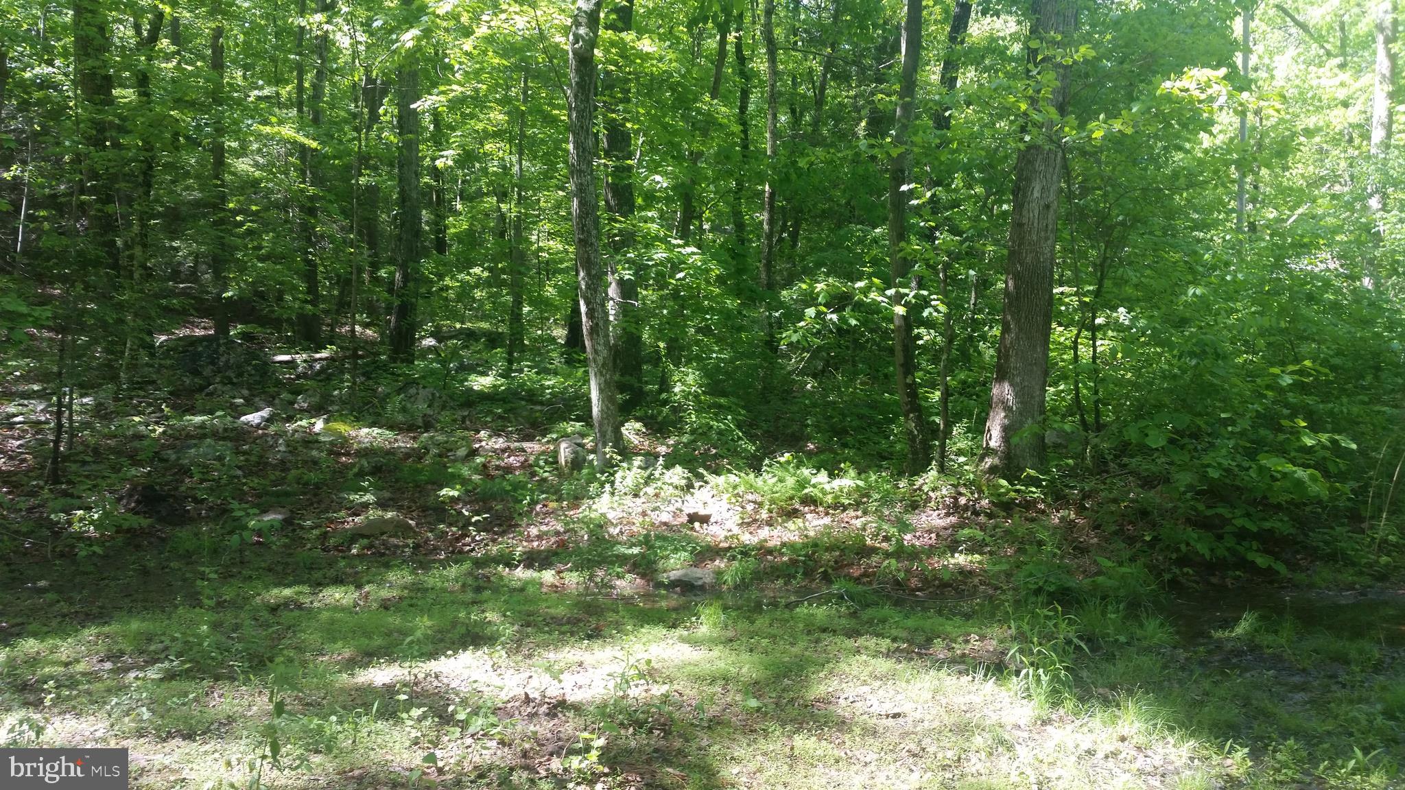 CACAPON RIVER ESTATES - Land