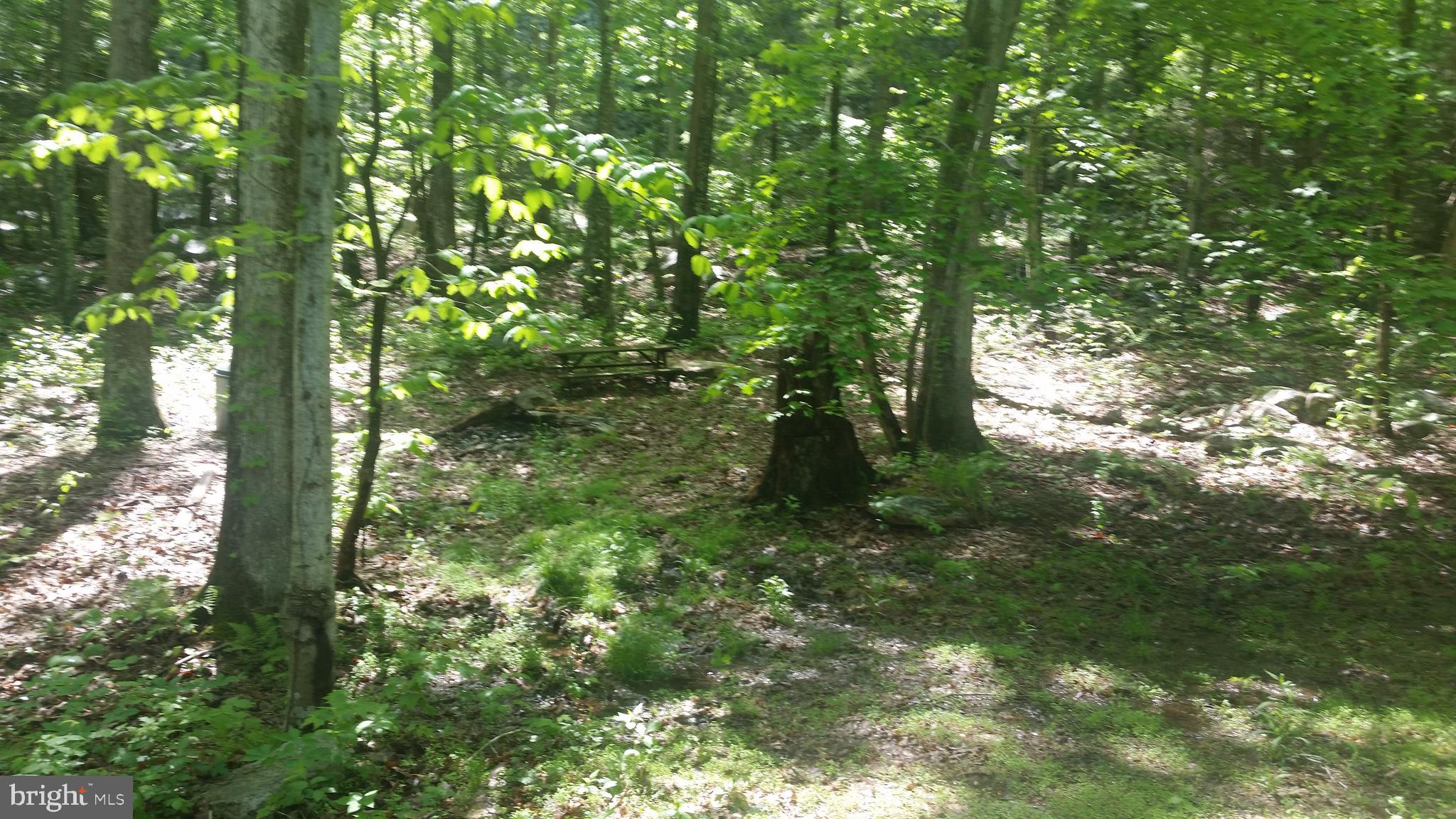 CACAPON RIVER ESTATES - Land