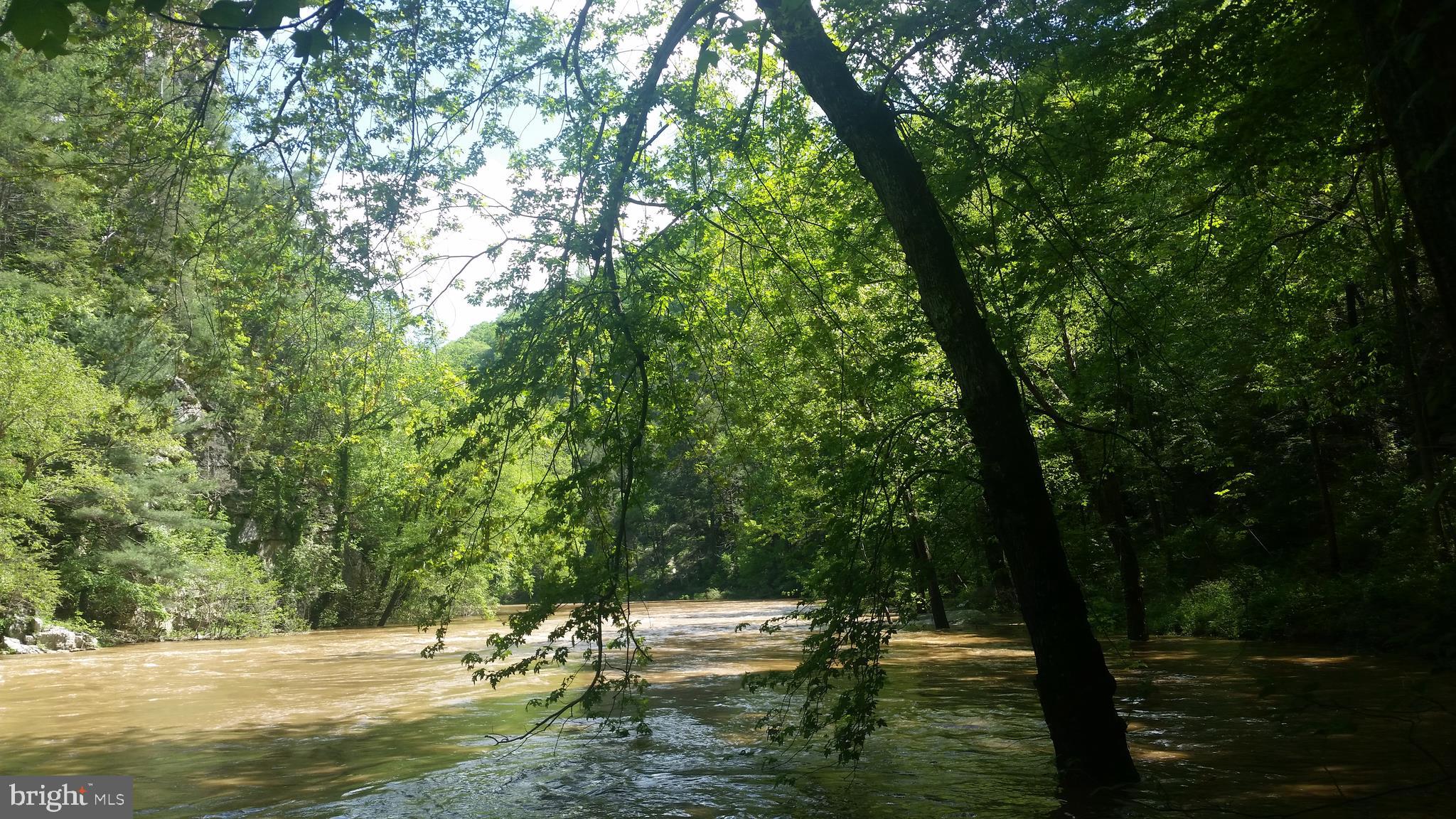 CACAPON RIVER ESTATES - Land