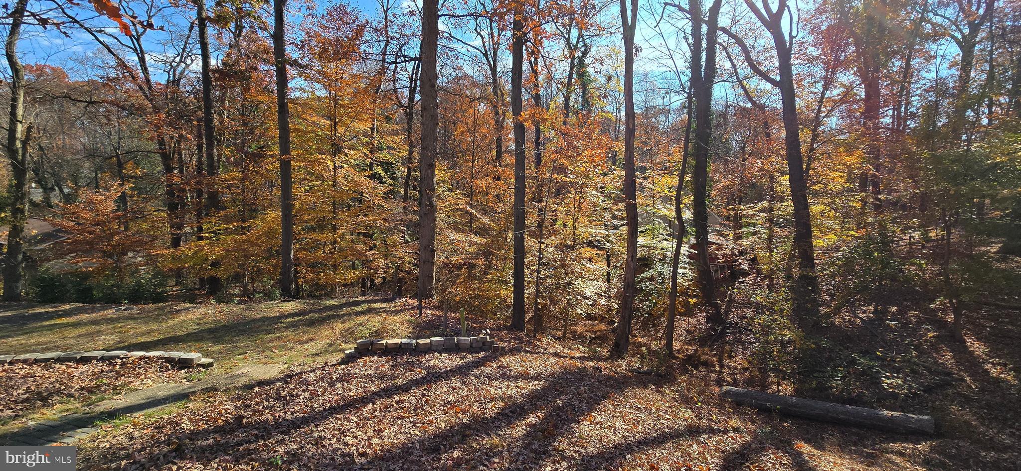 APPLE GROVE - Residential Lease