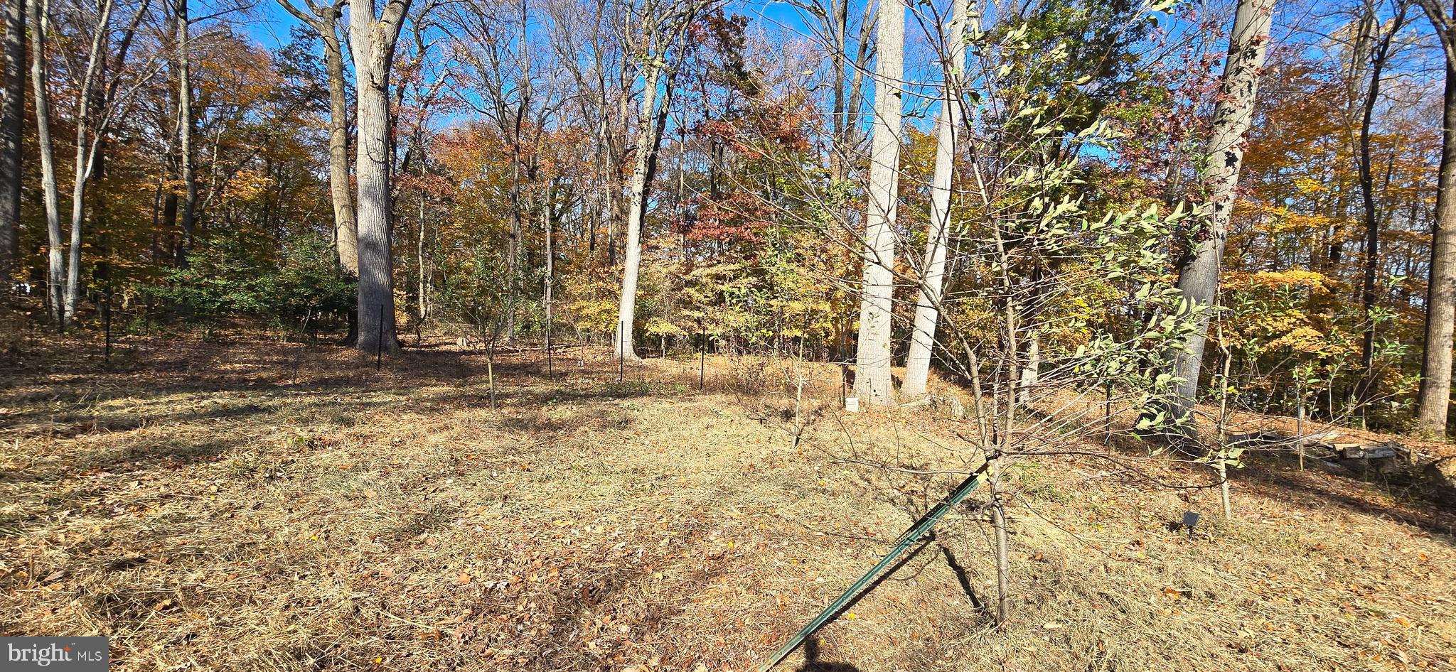 APPLE GROVE - Residential Lease