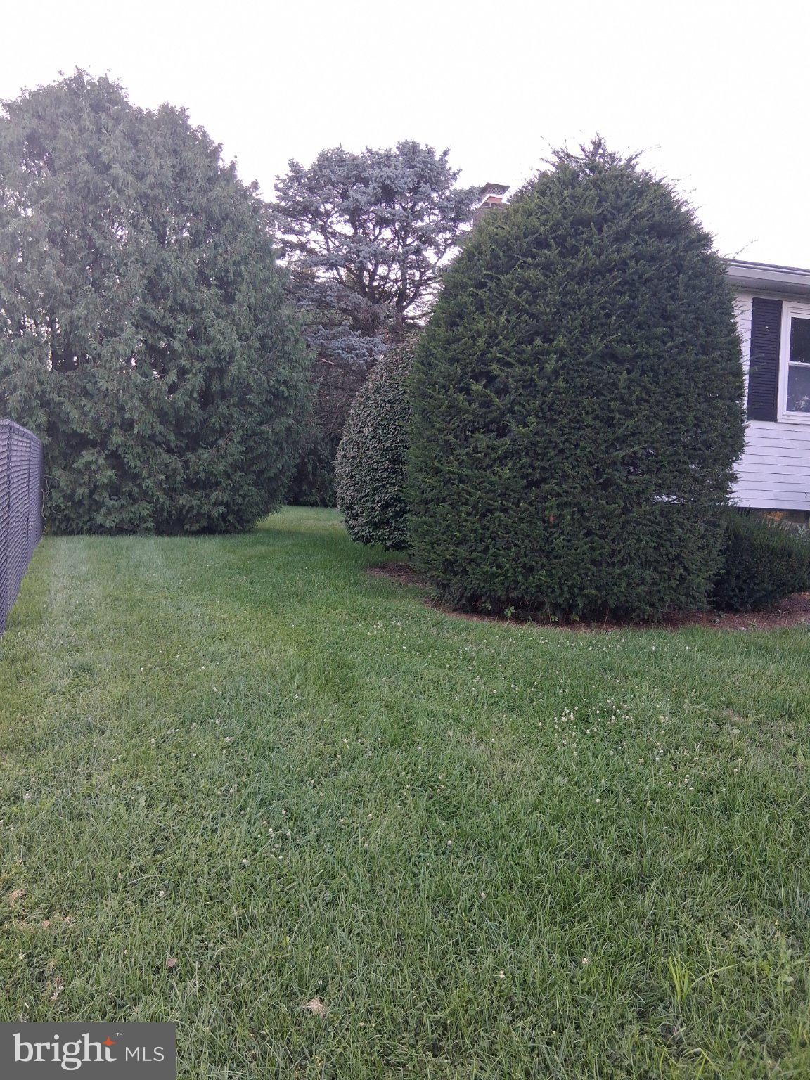 168 BUTTERNUT COURT