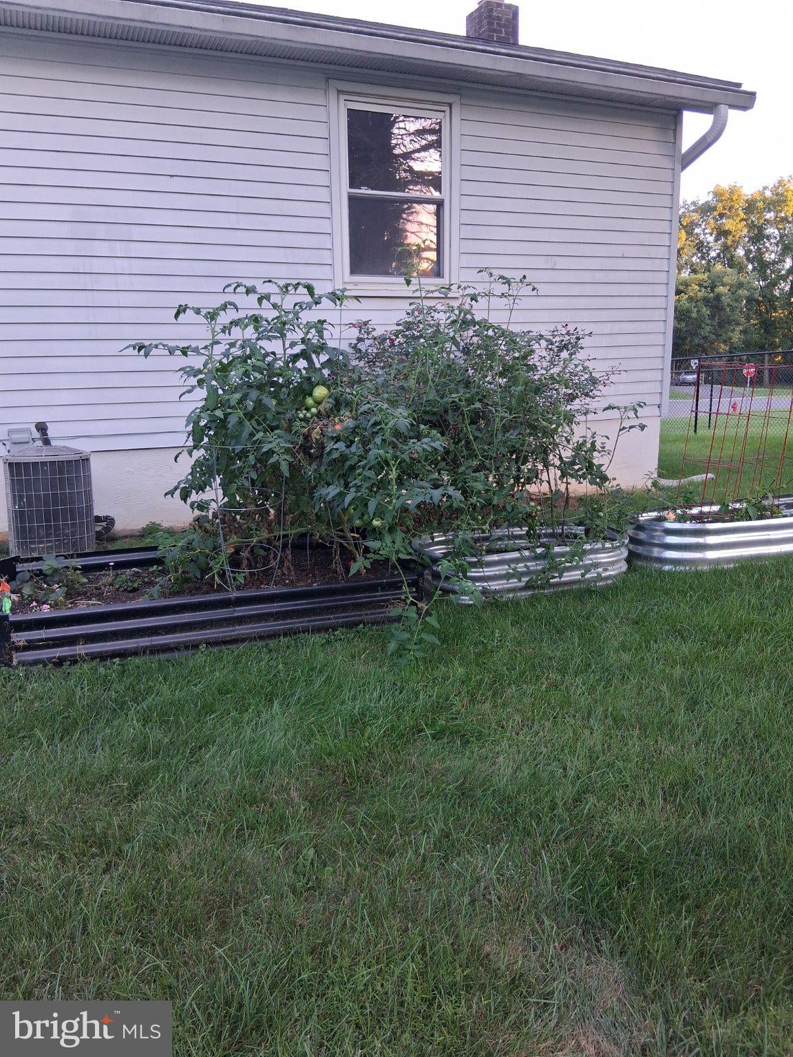 168 BUTTERNUT COURT