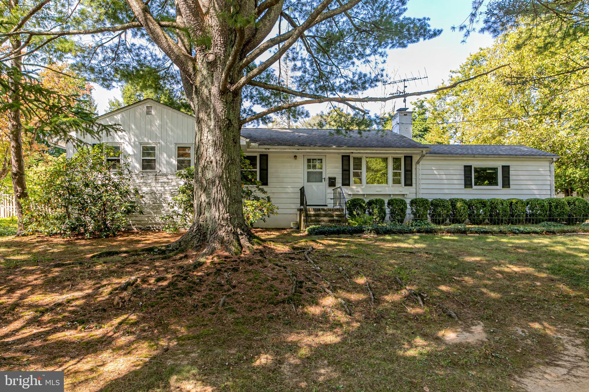 50 BROADRIPPLE DRIVE