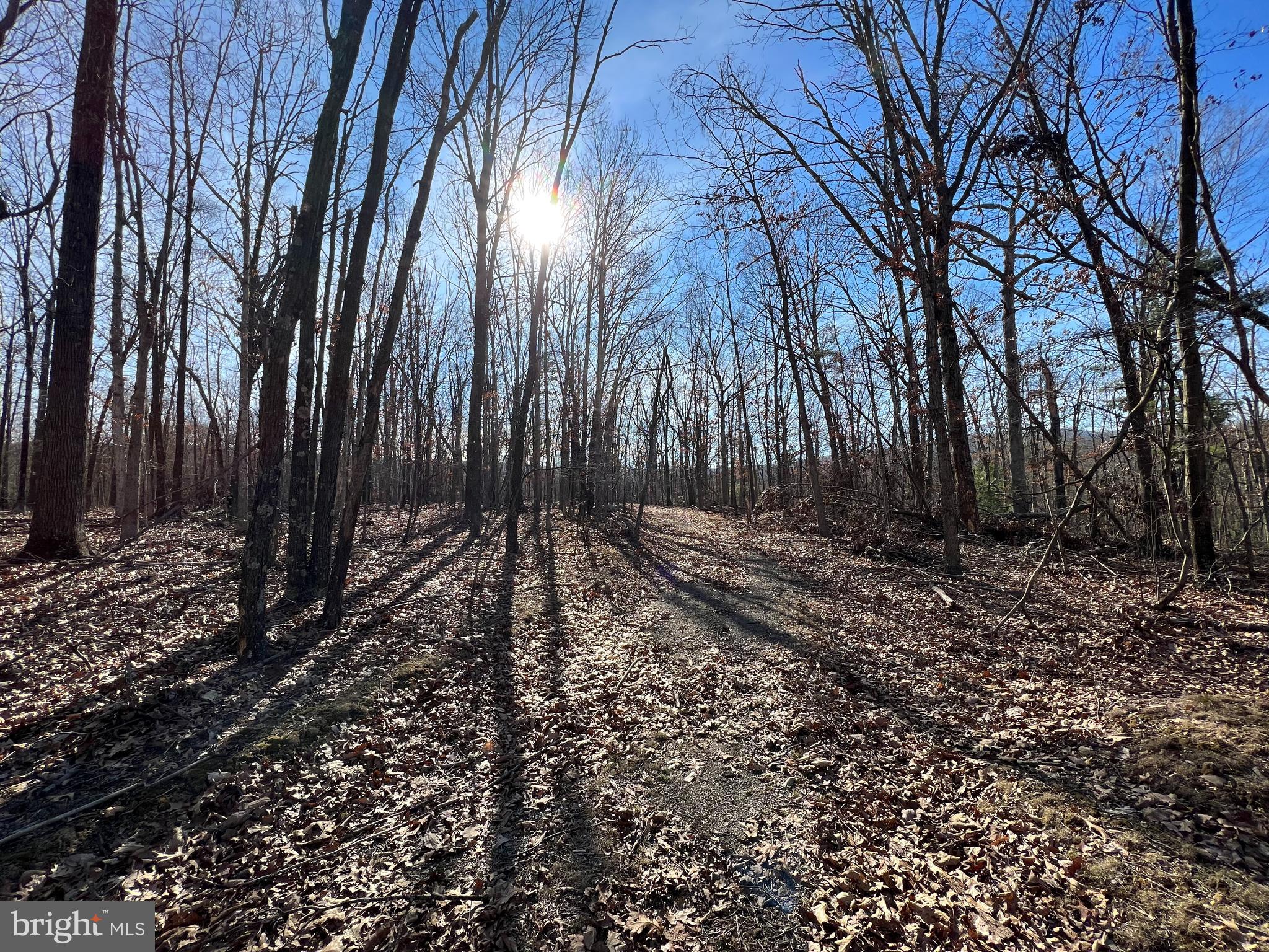 This is a dream property for anyone wanting to own a piece of West Virginia. Unrestricted 30+/- acres that is flat with multiple building sites which makes this property full of options. Currently it is used as hunting land but would also make a beautiful spot to build that dream getaway. Great timber on the property and very secluded. Plenty of public hunting and fishing just minutes away. There are logging roads throughout the property that allows for easy navigation through the property. Only 30 mins from Cumberland Maryland and less than a 3 hour drive to Washington DC. There is a small shed on the property that was used for storage and deer camp. Call today to schedule your showing.