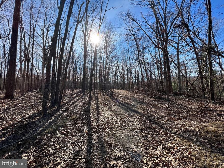 This is a dream property for anyone wanting to own a piece of West Virginia.  Unrestricted 30+/- acres that is flat with multiple building sites which makes this property full of options.  Currently it is used as hunting land but would also make a beautiful spot to build that dream getaway.  Great timber on the property and very secluded.  Plenty of public hunting and fishing just minutes away.   There are logging roads throughout the property that allows for easy navigation through the property.  Only 30 mins from Cumberland Maryland and less than a 3 hour drive to Washington DC.  There is a small shed on the property that was used for storage and deer camp.  Call today to schedule your showing.