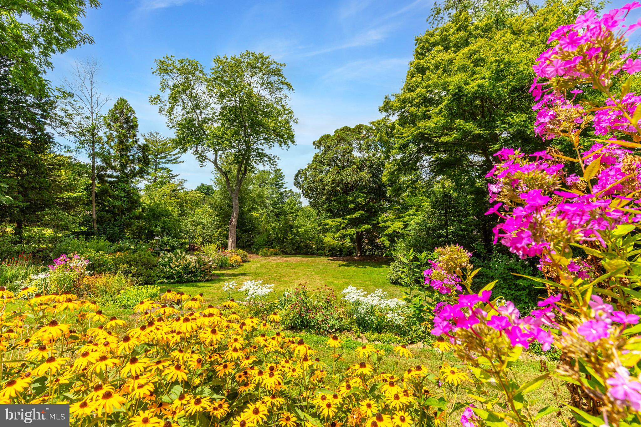 CHESTNUT HILL - Residential